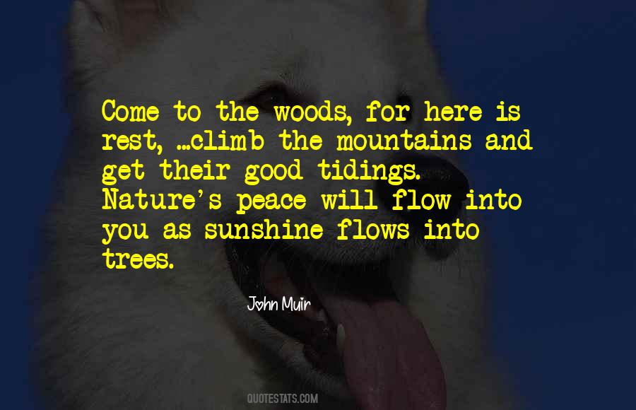 Quotes About Muir Woods #1839505 Quotes About Muir Woods #1839505