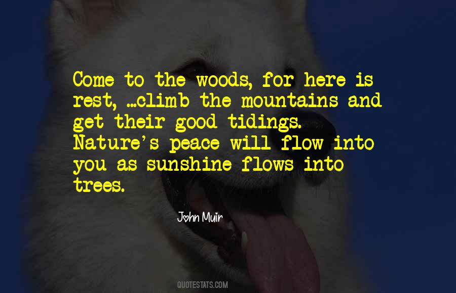 Quotes About Muir Woods #1839505