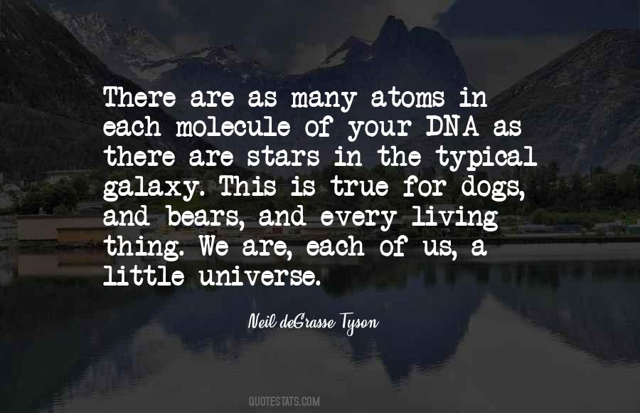 Quotes About The Stars And The Universe #200939