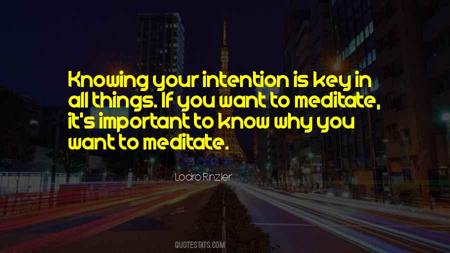 Quotes About Knowing Things #217424