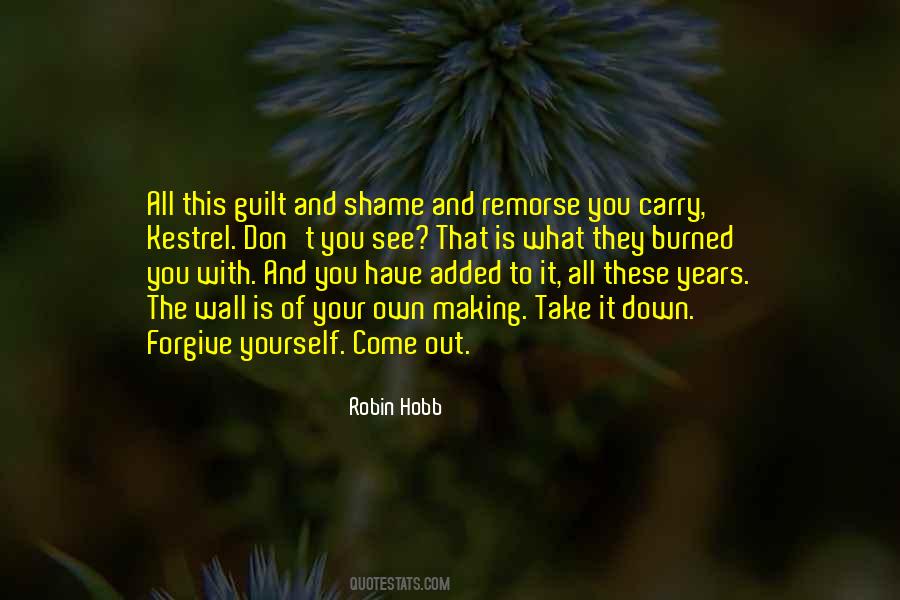 Quotes About Shame And Guilt #645494