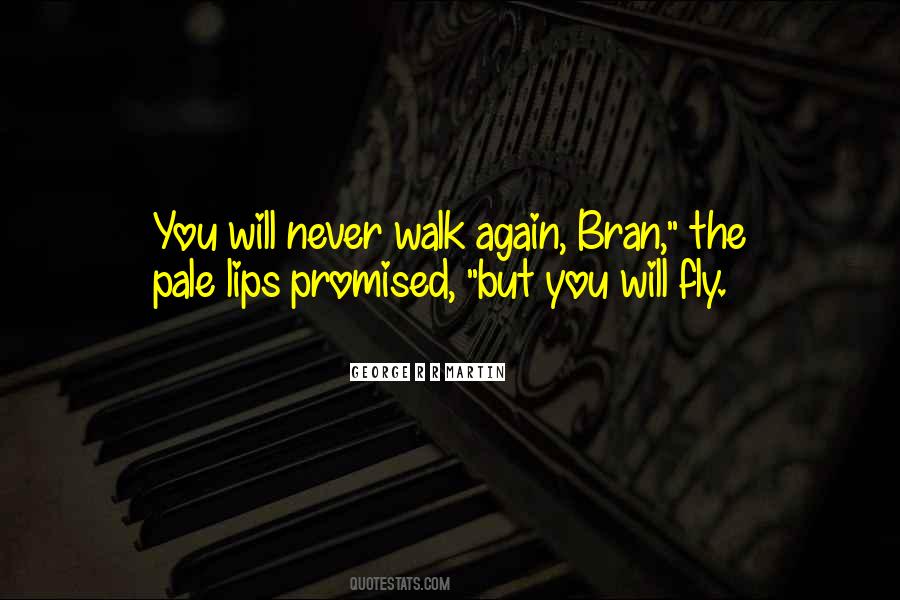 Fly Again Quotes #1082696