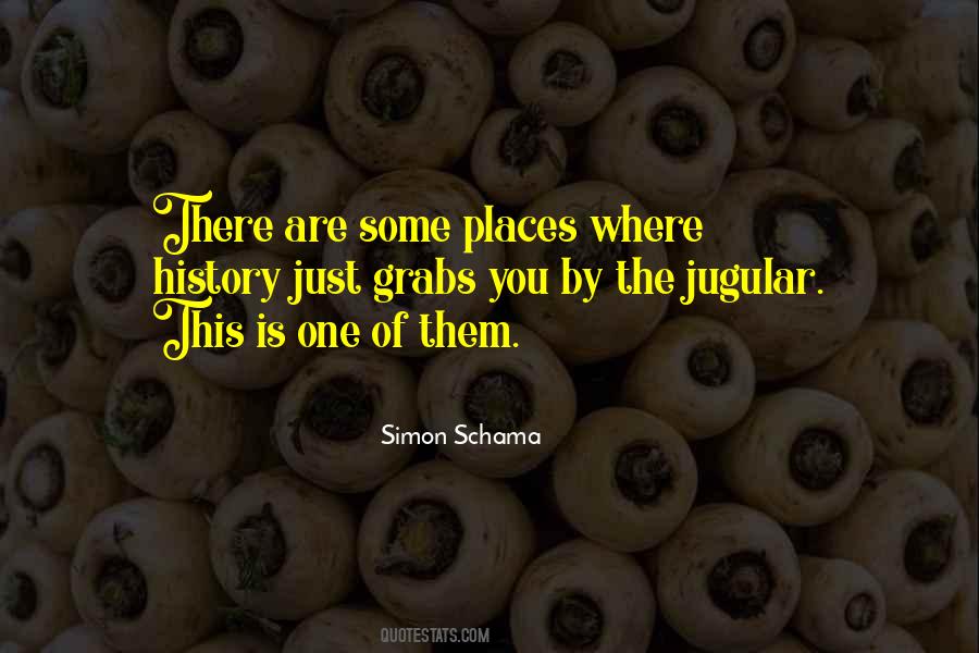 Schama Quotes #1087721