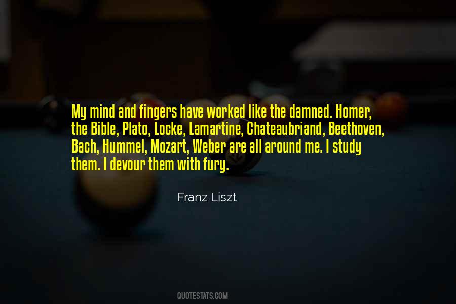 Quotes About Liszt #1458522