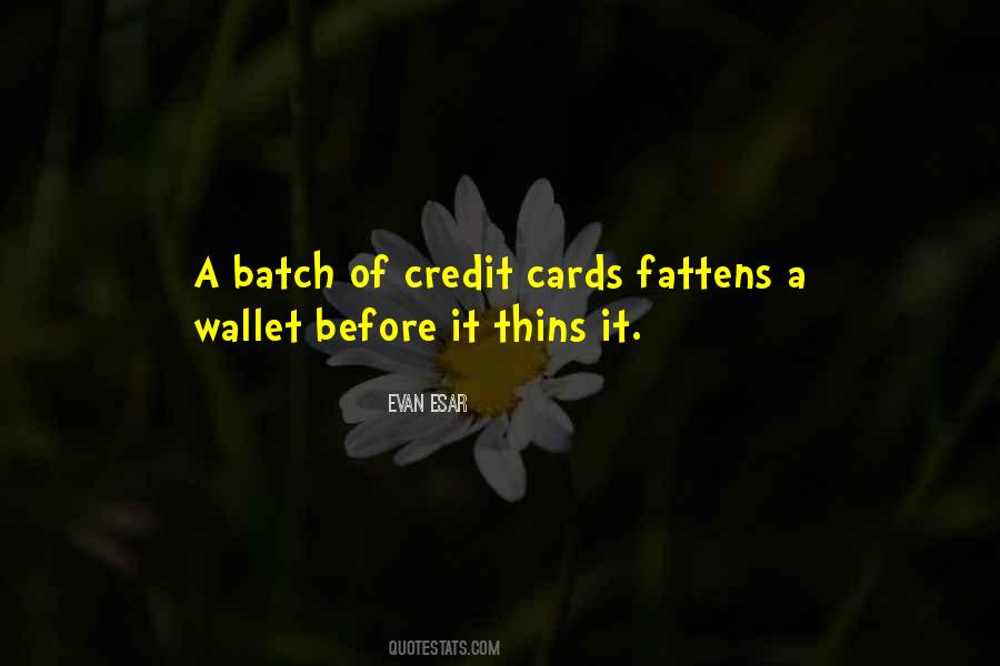 Quotes About Wallets #282641