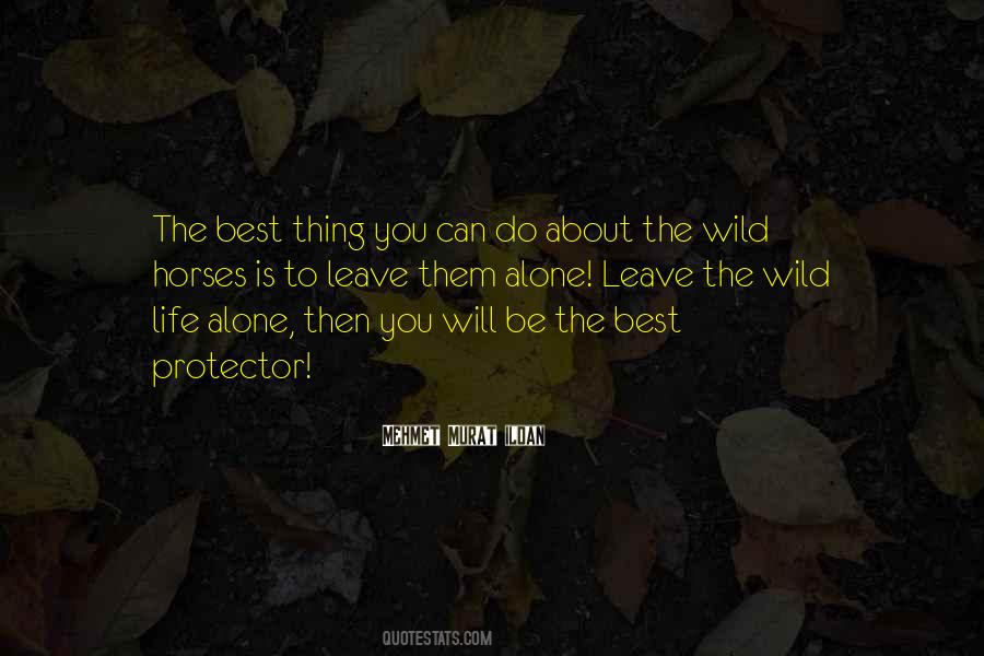 Engin Altan Quotes #509956
