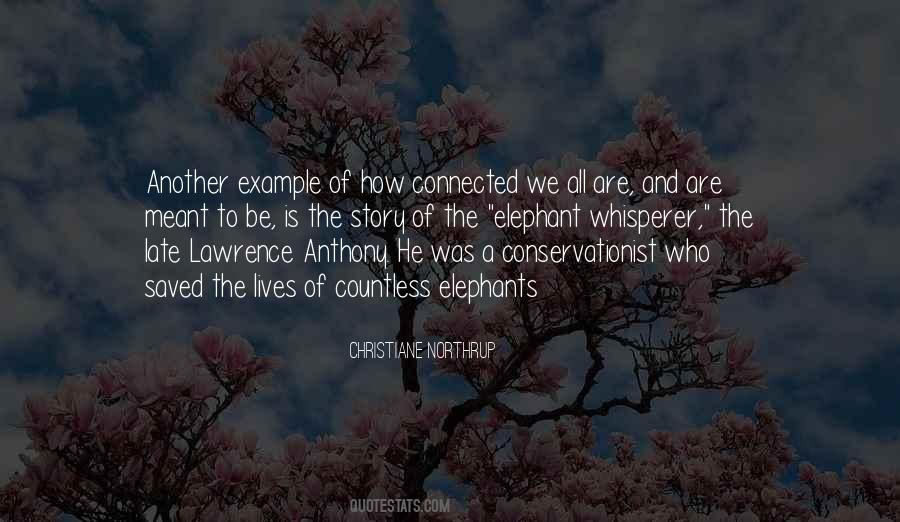 Quotes About We Are All Connected #1283922