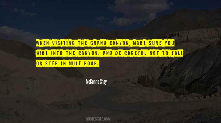 Quotes About The Grand Canyon #928206