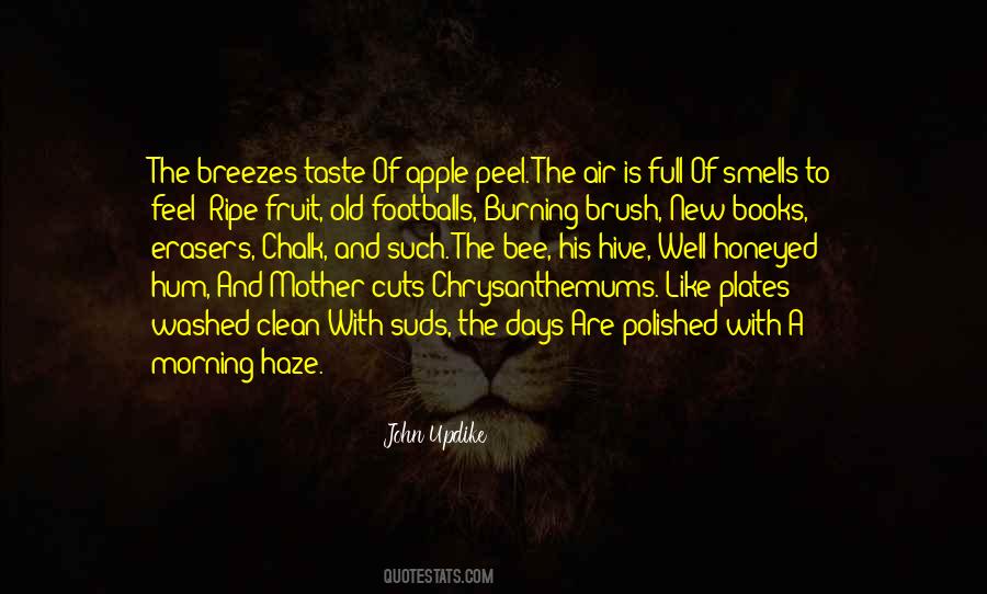 Morning Air Quotes #1561294