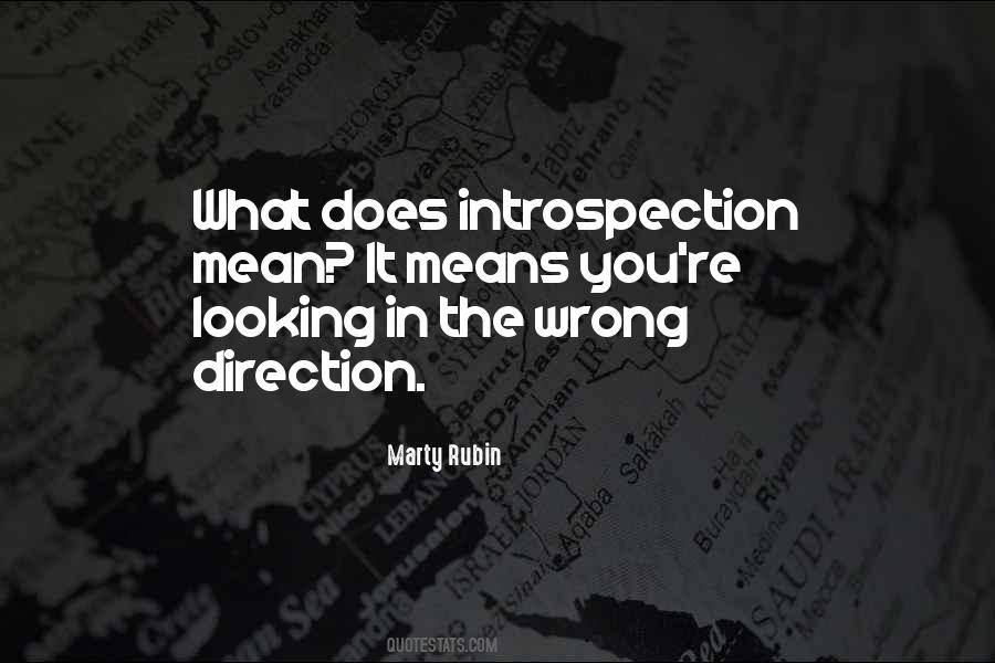 Quotes About Introspection #855539
