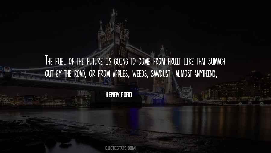 Quotes About Among The Hidden #790405