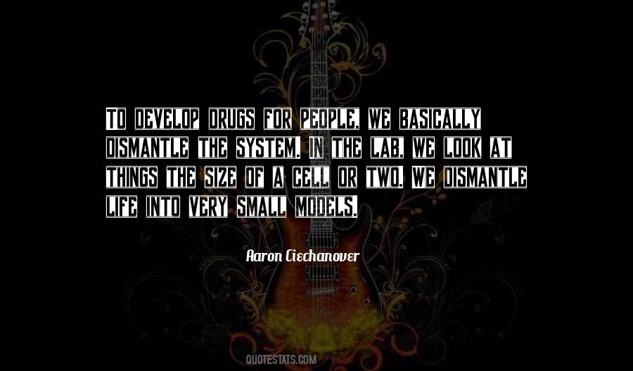 Quotes About Elementary Batchmates #1363722