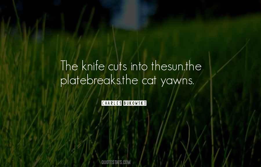 Cat Yawns Quotes #11199