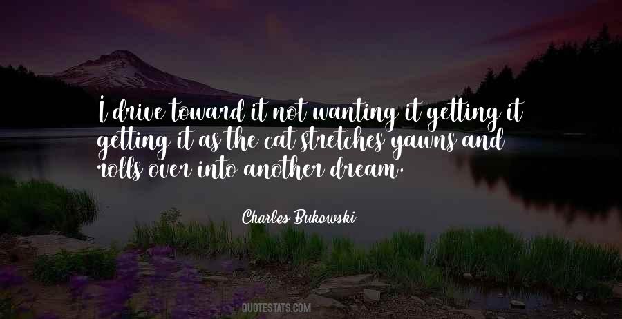 Cat Yawns Quotes #588023