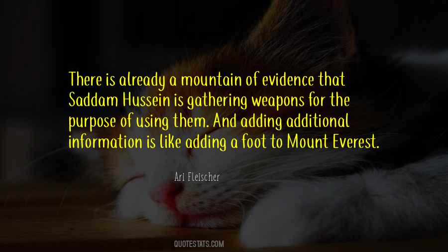Quotes About Mount Everest #565986