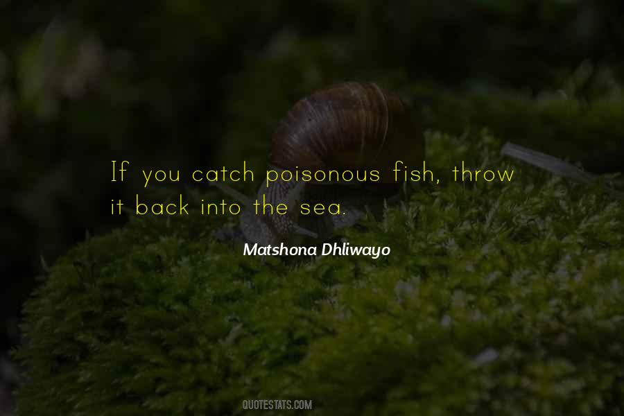 Quotes About Many Fish In The Sea #270391
