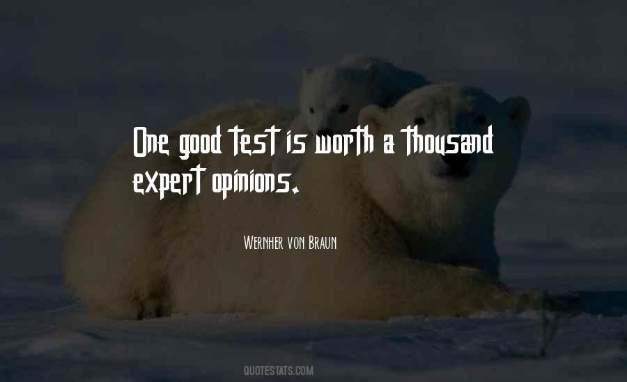 Quotes About Expert Opinions #883936