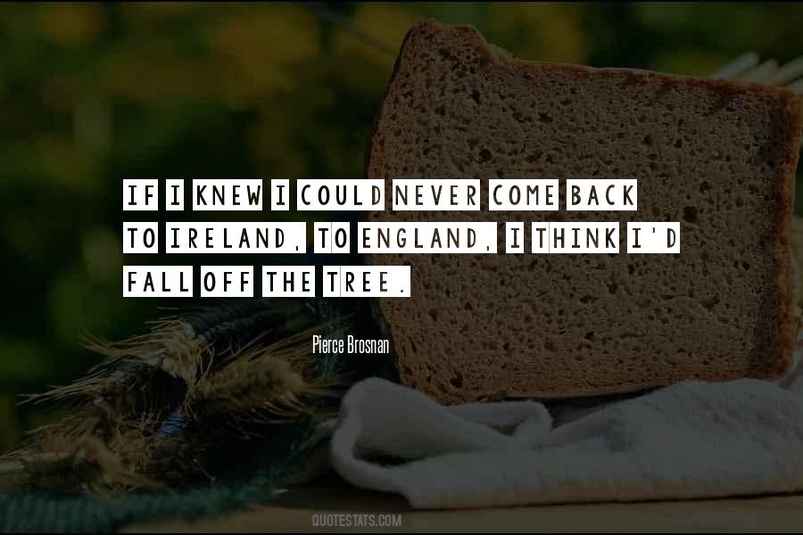 Quotes About Ireland And England #1486061