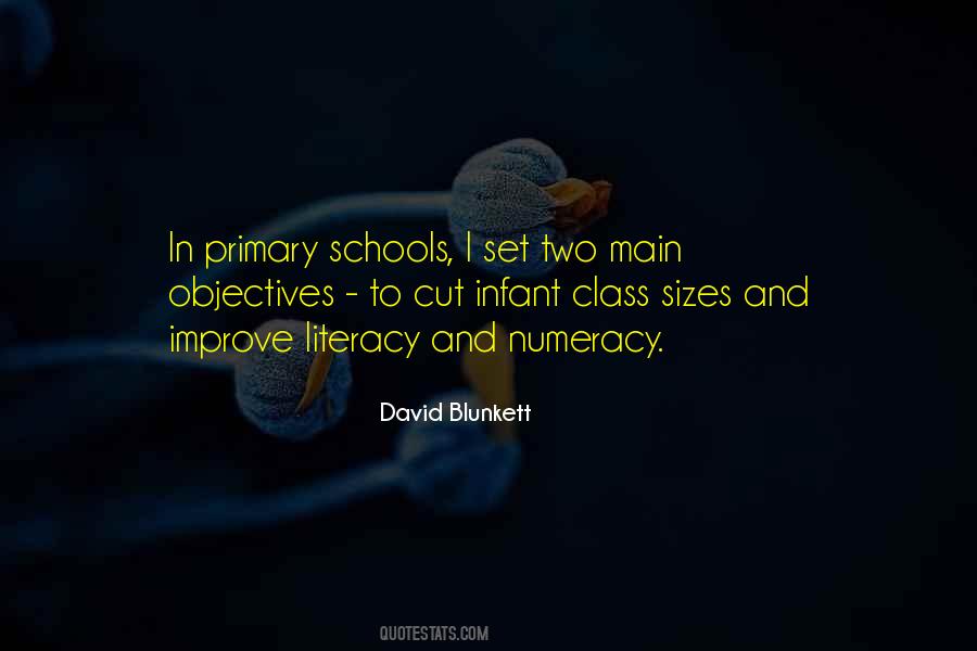 Quotes About Numeracy #1485522