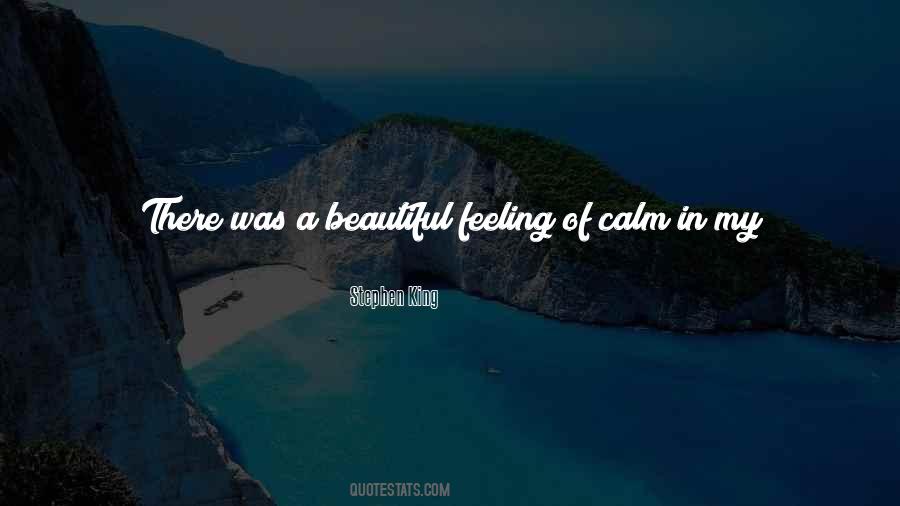 Beautiful Feeling Quotes #356207