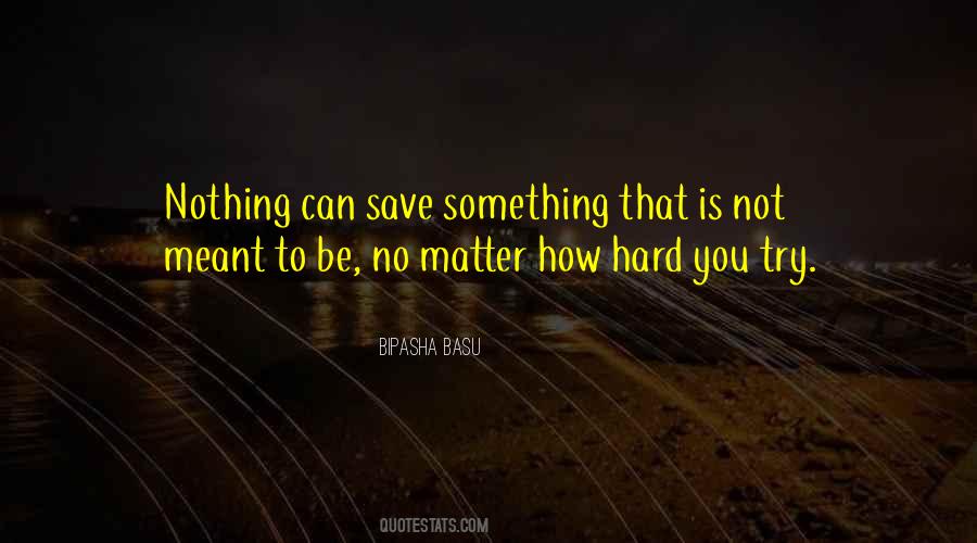 Quotes About No Matter How Hard You Try #337984