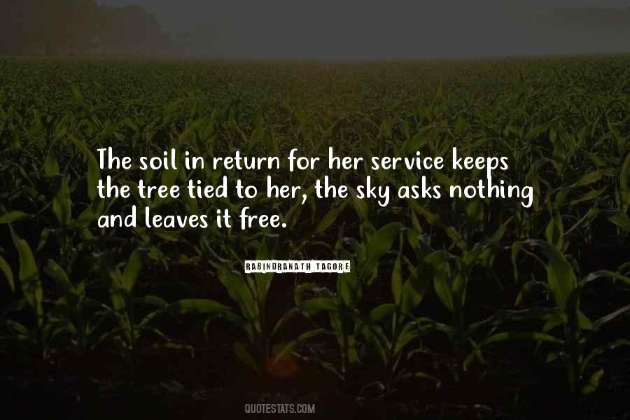 Quotes About Tree Leaves #43455