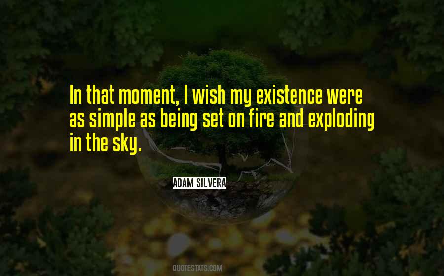 Being On Fire Quotes #1619895