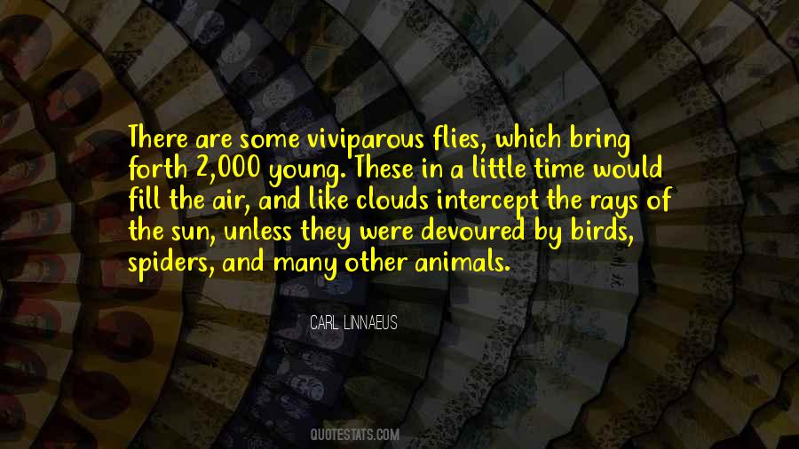 Quotes About Animals And Birds #1518594