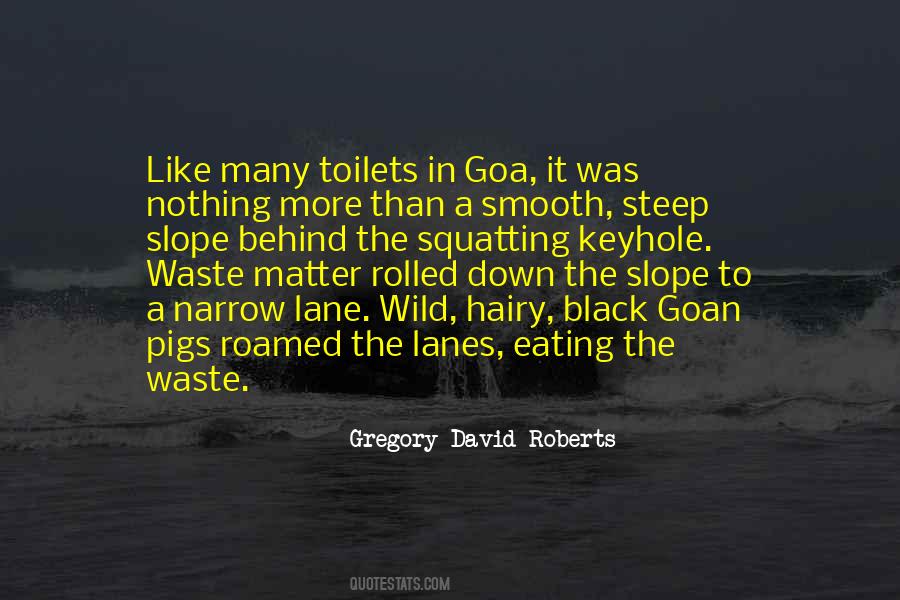 Quotes About Toilets #1371936