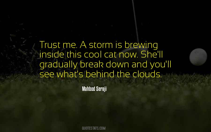 Quotes About A Storm Brewing #867013