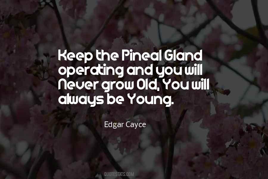 Quotes About Old You #1227300