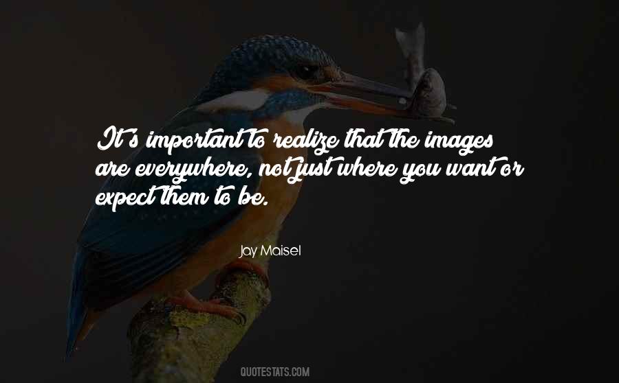 Quotes About You Are Not Important #46157