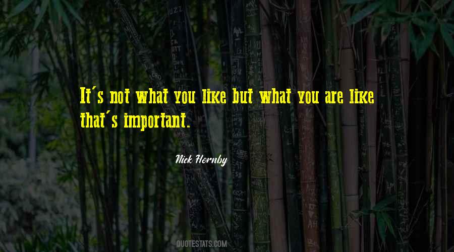 Quotes About You Are Not Important #55492