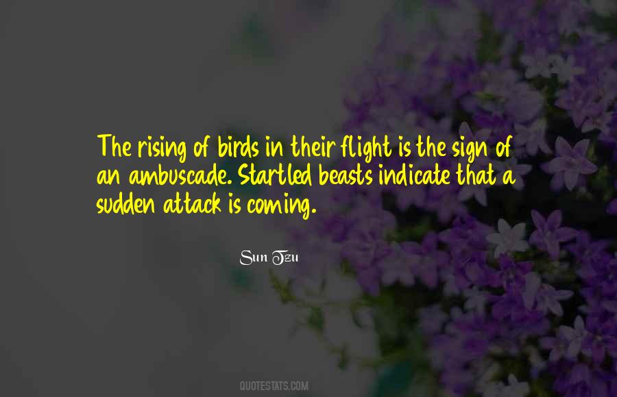 Quotes About Birds Flight #1279089
