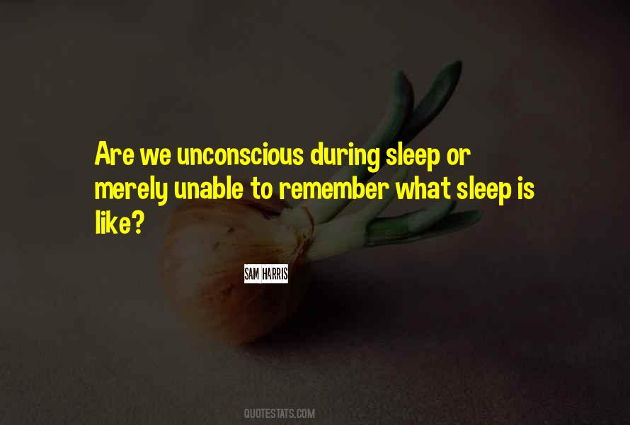 Quotes About Unable To Sleep #1794398