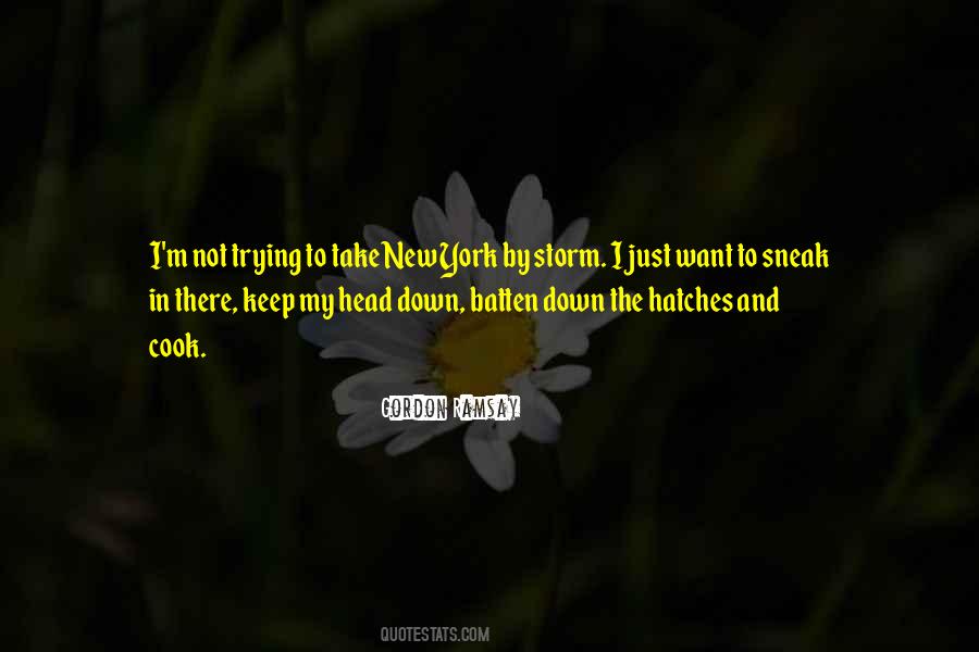 What Hatches Quotes #1634806