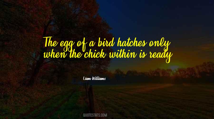 What Hatches Quotes #556082