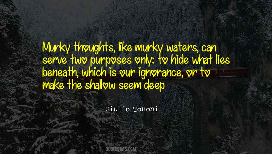 Tononi Quotes #751739
