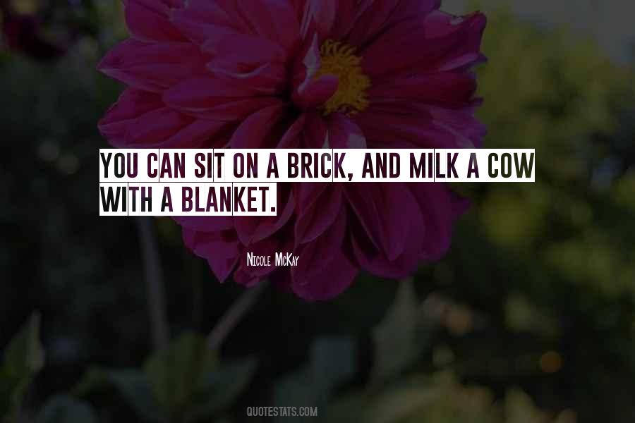 Brick And Blanket Uses Quotes #257262