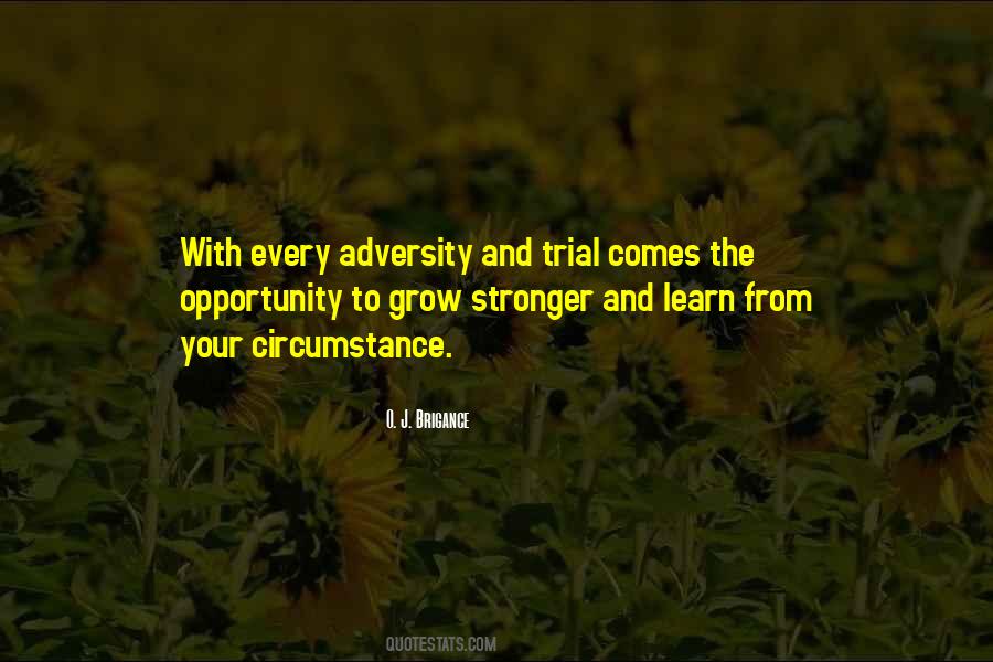 Quotes About Opportunity To Grow #369436