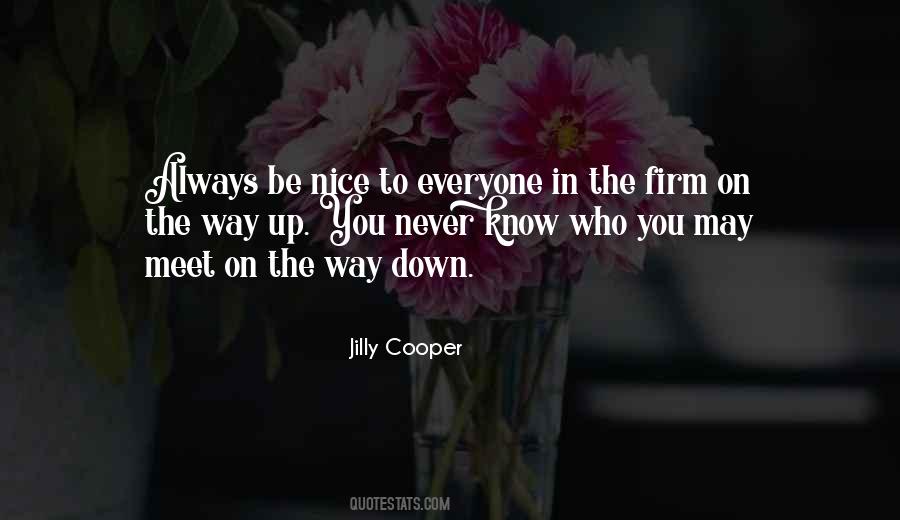 Quotes About Nice To Meet You #1366182