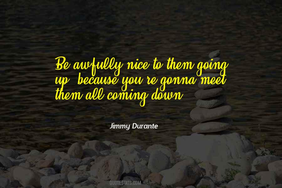 Quotes About Nice To Meet You #1830231