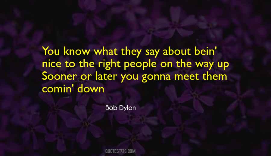 Quotes About Nice To Meet You #713229