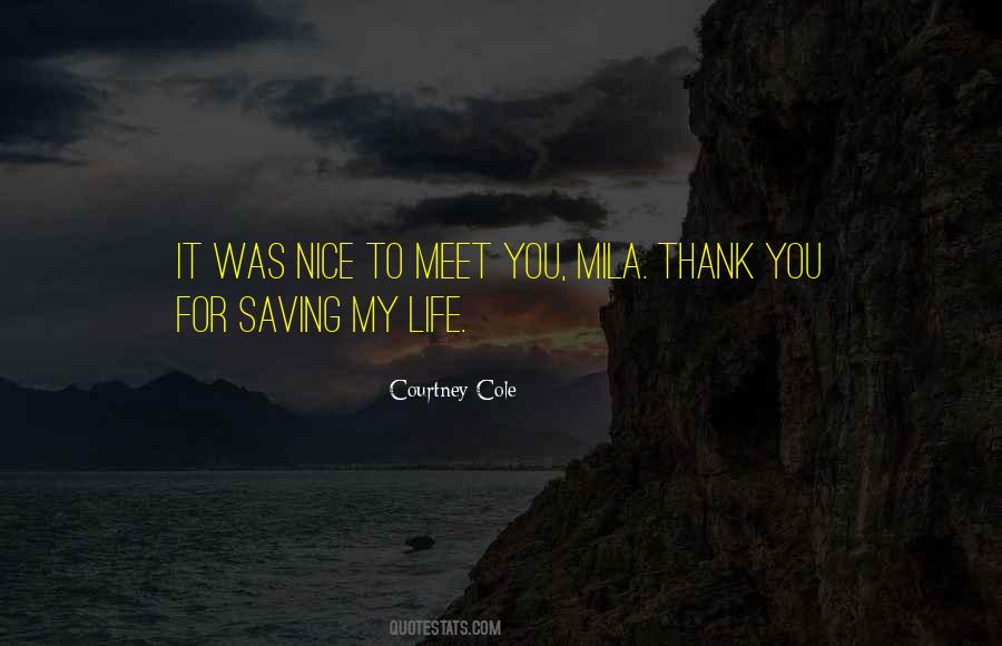 Quotes About Nice To Meet You #824107