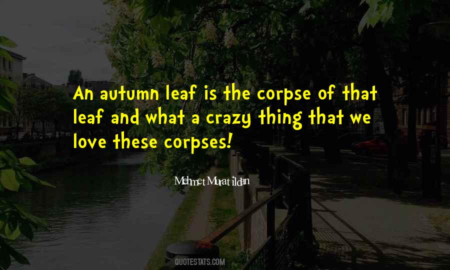 Quotes About Autumn Leaves #606722