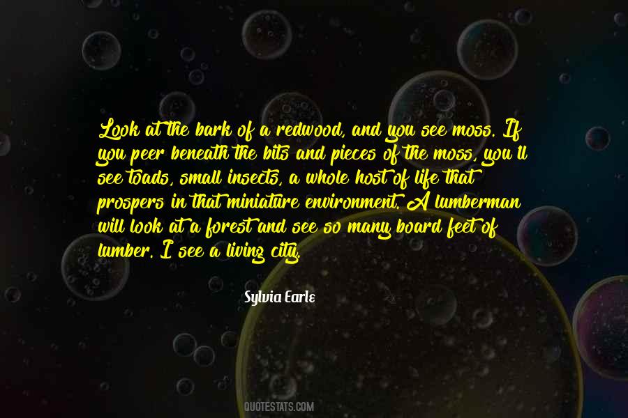 Quotes About Living In The City #1390609 Quotes About Living In The City #1390609