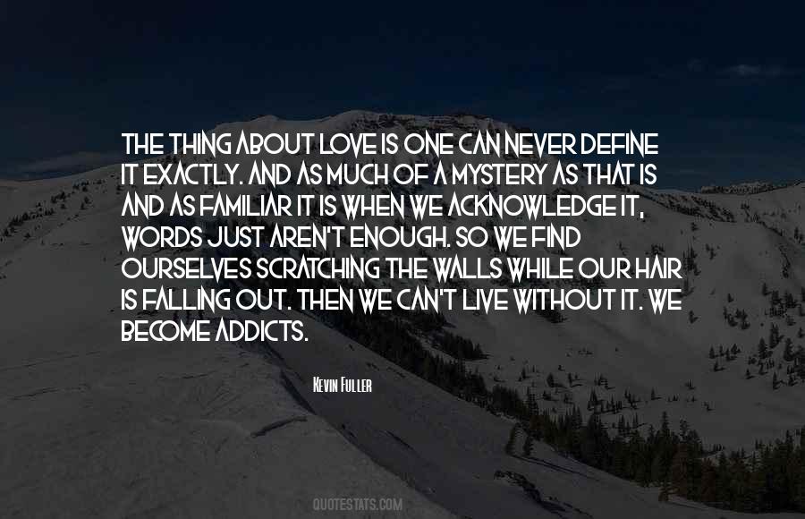 Enough About Love Quotes #40347