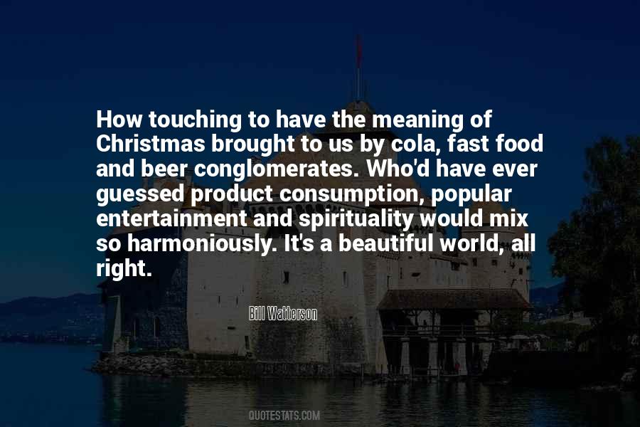 Quotes About Meaning Of Christmas #755768