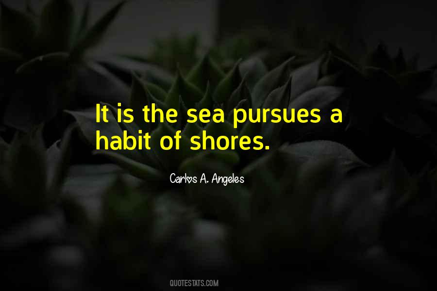 Quotes About Pursues #179971
