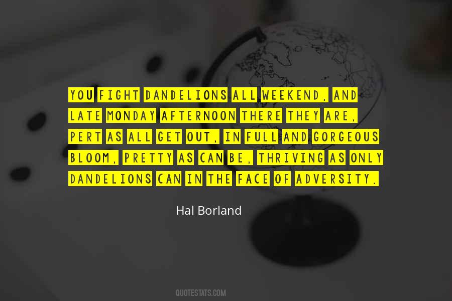 Face Of Adversity Quotes #683126
